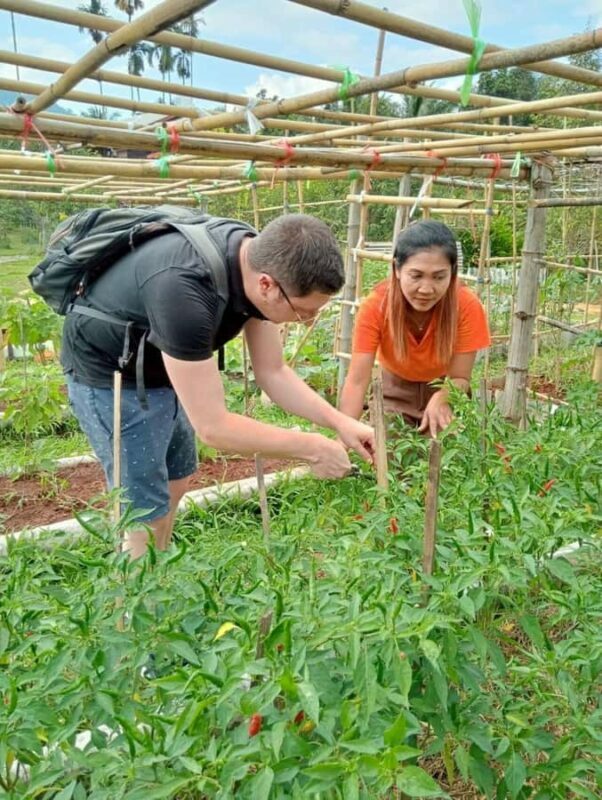 Khao Sok: Thai Cooking Class with Organic Farm and Pickup - Who Will Love This?