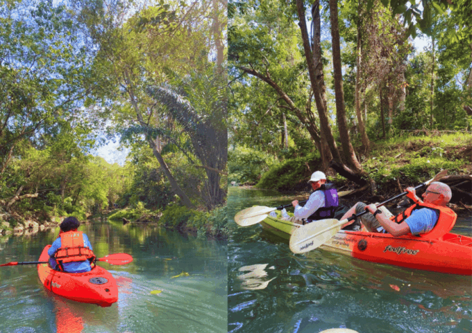 Khao Yai : Highlight Tour With Elephant Riding Activity - Bat Watching at Sunset