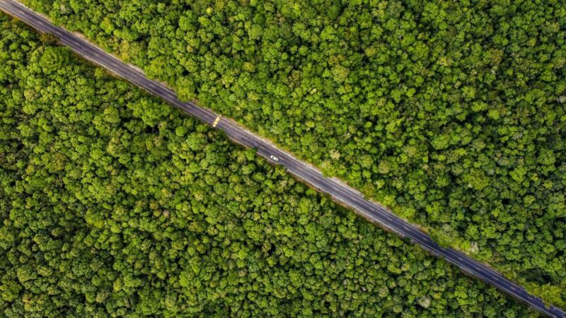 Khao Yai National Park - 1 N Camping - Experience Highlights