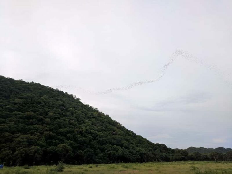 Khao Yai National Park: 2-Day Private Tour from Bangkok - The Complete Experience: What’s Included & What You Can Expect