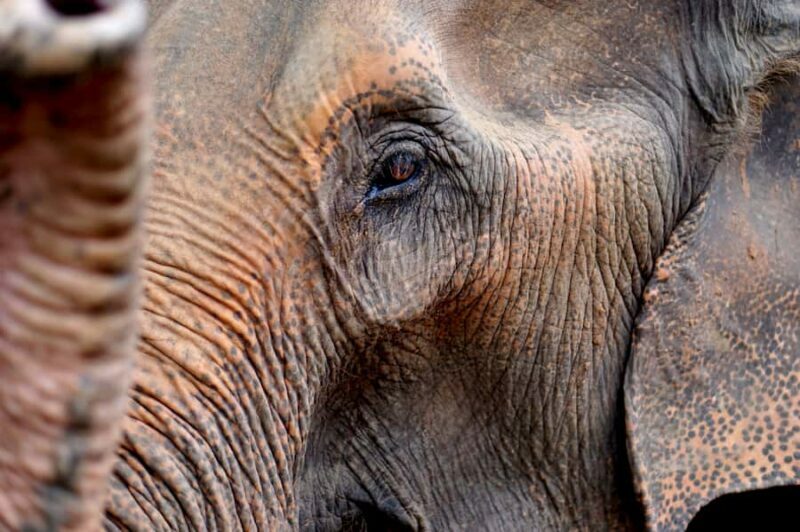 Khao Yai National Park: 2-Day Private Tour from Bangkok - Who Should Consider This Tour?