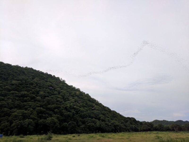 Khao Yai National Park: 2-Day Private Tour From Bangkok - Customer Reviews