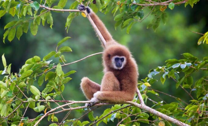 Khao Yai National Park: 2-Day Private Tour From Bangkok - Experience Breathtaking Landscapes