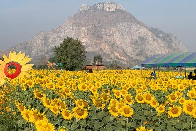 Khao Yai National Park Day Tour From Bangkok - Transportation and Logistics