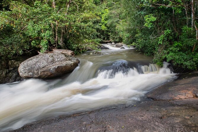 Khao Yai National Park Full-Day Tour From Bangkok - Wildlife Encounters