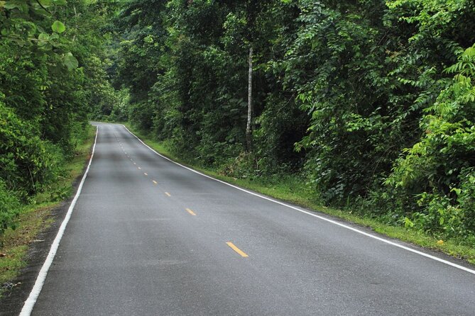 Khao Yai National Park Full-Day Tour From Bangkok - Visitor Tips