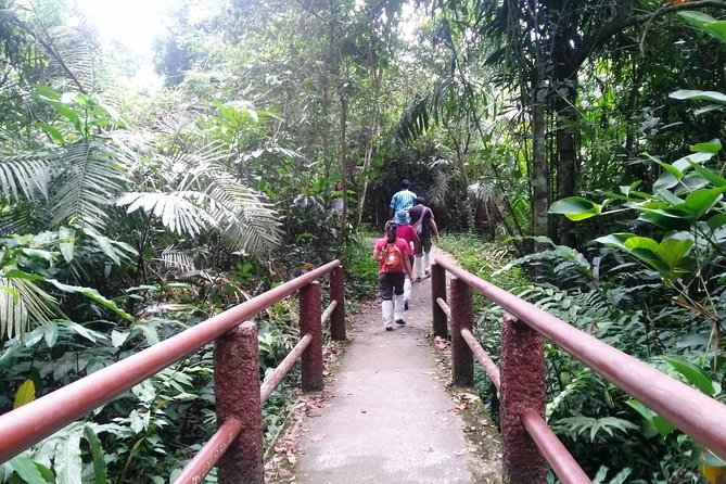 Khao Yai National Park Hiking Day Tour: Haew Narok and Haew Suwat - Traveler Experiences