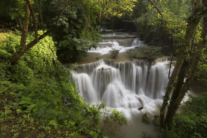 Khao Yai National Park Private Tour Review - Key Points