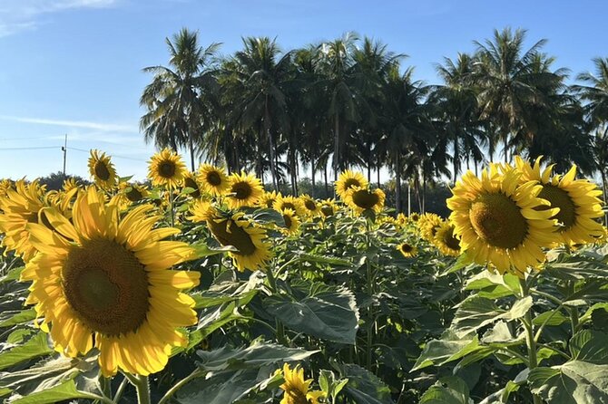 Khao Yai National Park Private Tour Review - Meeting and Pickup Details