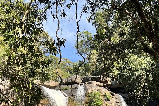Khao Yai National Park Private Tour Review - Review Summary