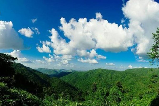 Khao Yai National Park With Waterfall & Hiking - What to Expect During the Journey