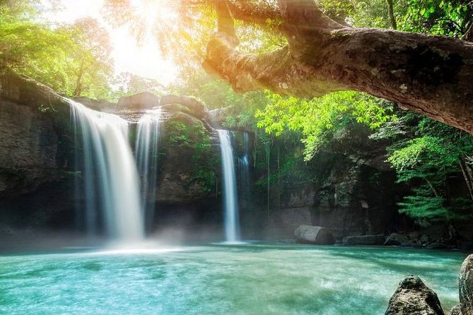 Khao Yai National Park With Waterfall & Hiking - Additional Tour Details