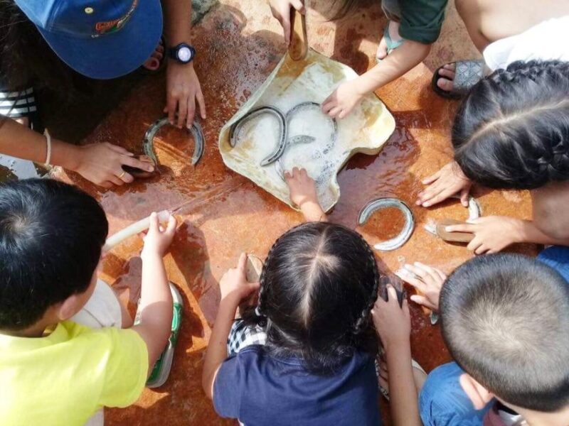 Khao Yai Vineyard Tasting Tour & Horse Farm Visit - Inclusions