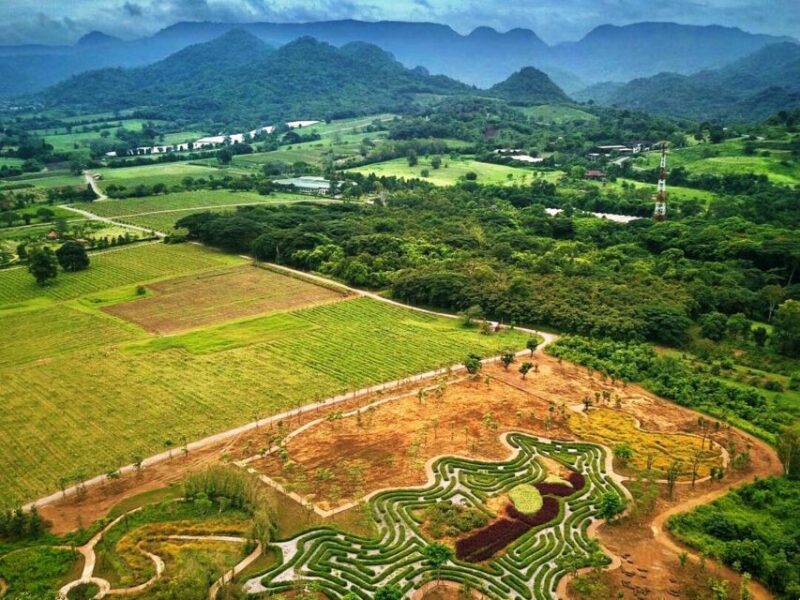 Khao Yai Vineyard Tasting Tour & Horse Farm Visit - Customer Feedback