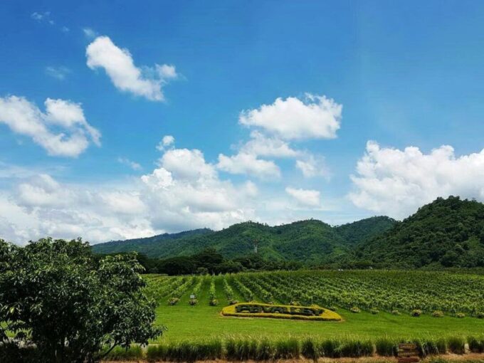 Khao Yai Vineyard Tasting Tour & Horse Farm Visit - Winery Experience