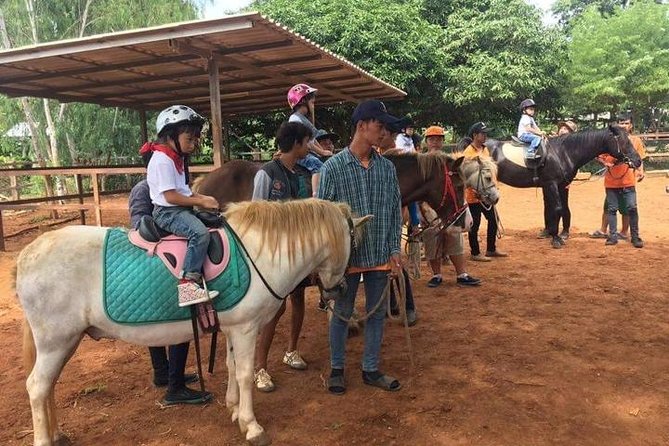 Khao Yai Winery - Vineyard Tours & Animal Lover With Horse Farm - Pickup and Drop-off Locations