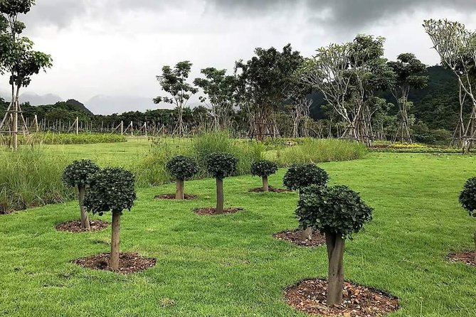 Khao Yai Winery - Vineyard Tours & Animal Lover With Horse Farm - Horseback Riding Weight Limit