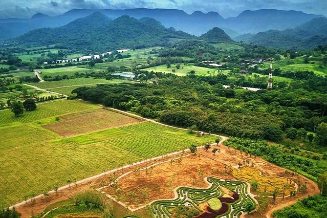 Khao Yai Winery - Vineyard Tours & Animal Lover With Horse Farm - Accessibility and Dress Code