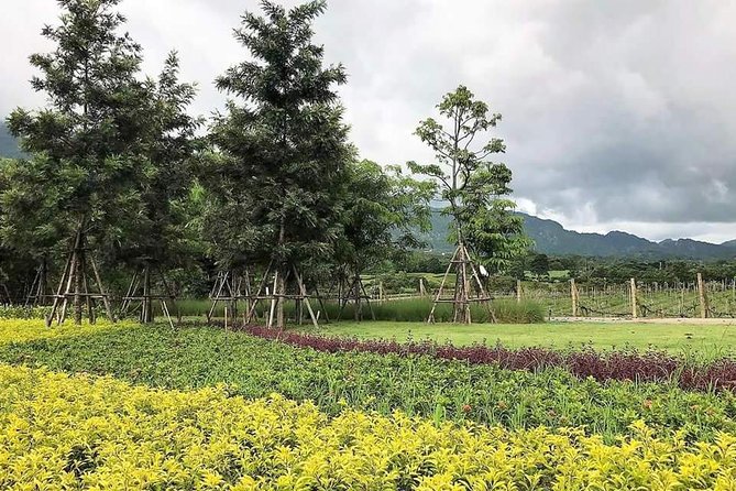Khao Yai Winery - Vineyard Tours & Animal Lover With Horse Farm - Dietary Restrictions Accommodation
