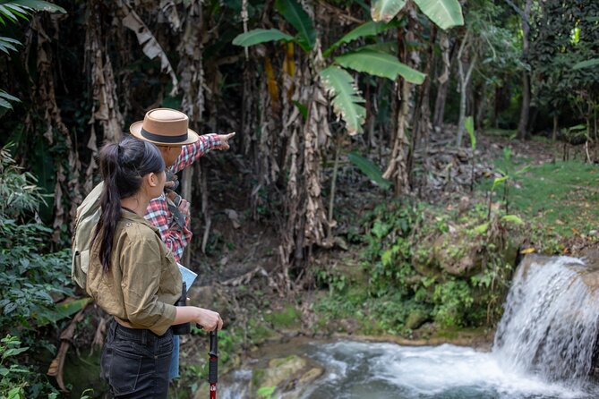 Khaolak Elephant Sanctuary, Cooking Class and Waterfall Tour - Tour Options and Experiences