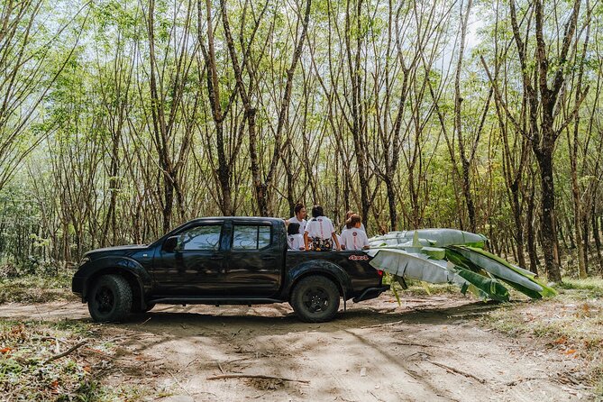 Khaolak Elephant Sanctuary, Cooking Class and Waterfall Tour - Meeting, Pickup, and Transfer Details
