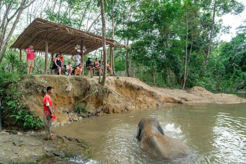 Khaolak: Elephant Sanctuary Guided Tour with Hotel Transfers - Key Points
