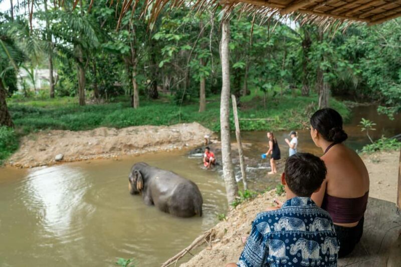 Khaolak: Elephant Sanctuary Guided Tour with Hotel Transfers - What to Expect on the Tour