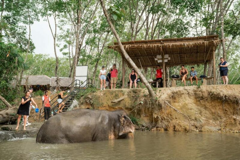 Khaolak: Elephant Sanctuary Guided Tour with Hotel Transfers - Authenticity and Ethical Considerations