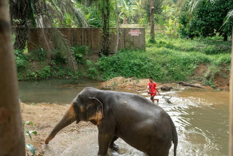 Khaolak: Elephant Sanctuary Guided Tour with Hotel Transfers - Final Thoughts