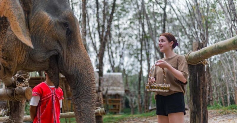 Khaolak: Elephant Sanctuary Guided Tour With Hotel Transfers - Small Group Experience