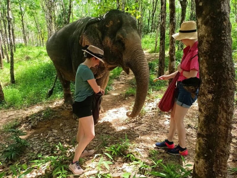 Khaolak: Elephant Sanctuary Guided Tour With Hotel Transfers - Activities and Highlights