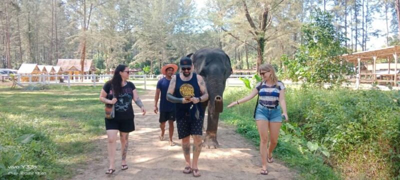 Khaolak: Elephant Sanctuary With Turtle Conservation Center - Elephant Interaction