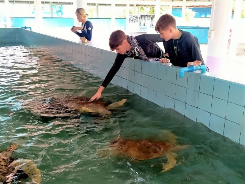 Khaolak: Elephant Sanctuary With Turtle Conservation Center - Bamboo Rafting