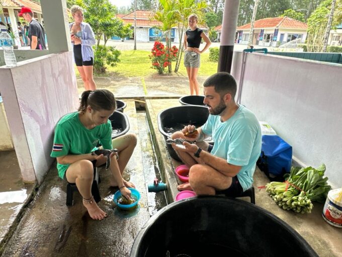Khaolak: Elephant Sanctuary With Turtle Conservation Center - Inclusions
