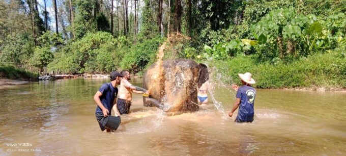 Khaolak: Elephant Sanctuary With Turtle Conservation Center - Important Information