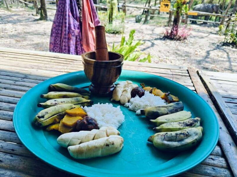 Khaolak Ethical Elephant Sanctuary Snack Making & Feeding - Key Points