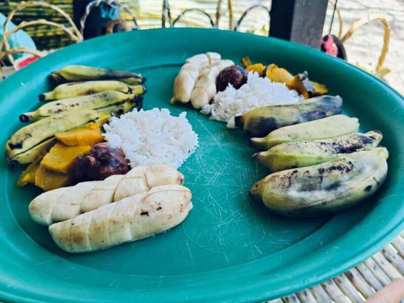 Khaolak Ethical Elephant Sanctuary Snack Making & Feeding - Feeding the Rescued Elephants