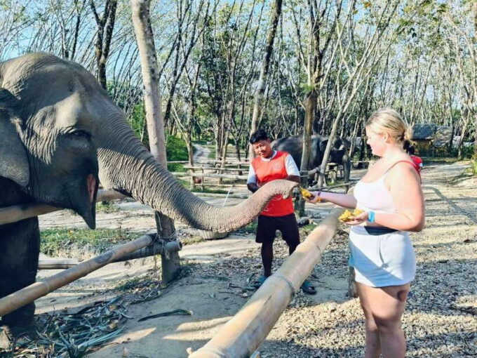 Khaolak Ethical Elephant Sanctuary Snack Making & Feeding - Choosing Dates and Times