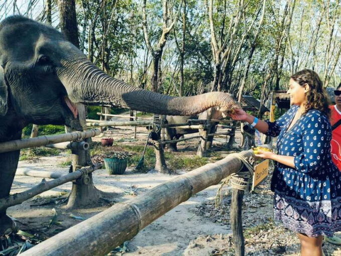 Khaolak Ethical Elephant Sanctuary Snack Making & Feeding - Important Considerations