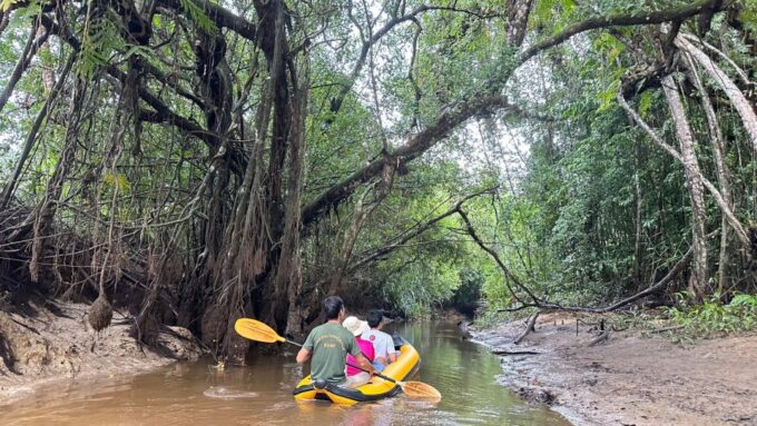 Khaolak Hightlight Tour With Eco Guide Adventure - Activities Subject to Change