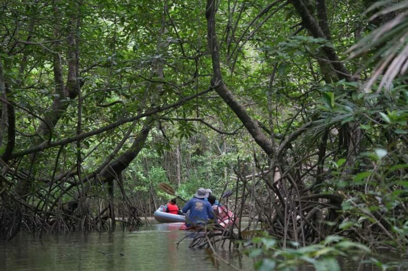 Khaolak: Little Amazon and Wat Khongkha Phimuk (Half Day) - Exploring the Mangroves of Little Amazon