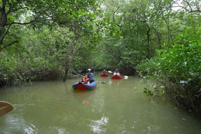 Khaolak: Little Amazon and Wat Khongkha Phimuk (Half Day) - Practical Aspects of the Tour