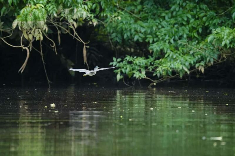 Khaolak: Little Amazon and Wat Khongkha Phimuk (Half Day) - FAQs