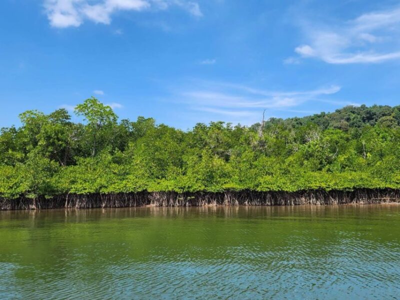 Khaolak Sightseeing and Snorkeling With Small Group - Key Points