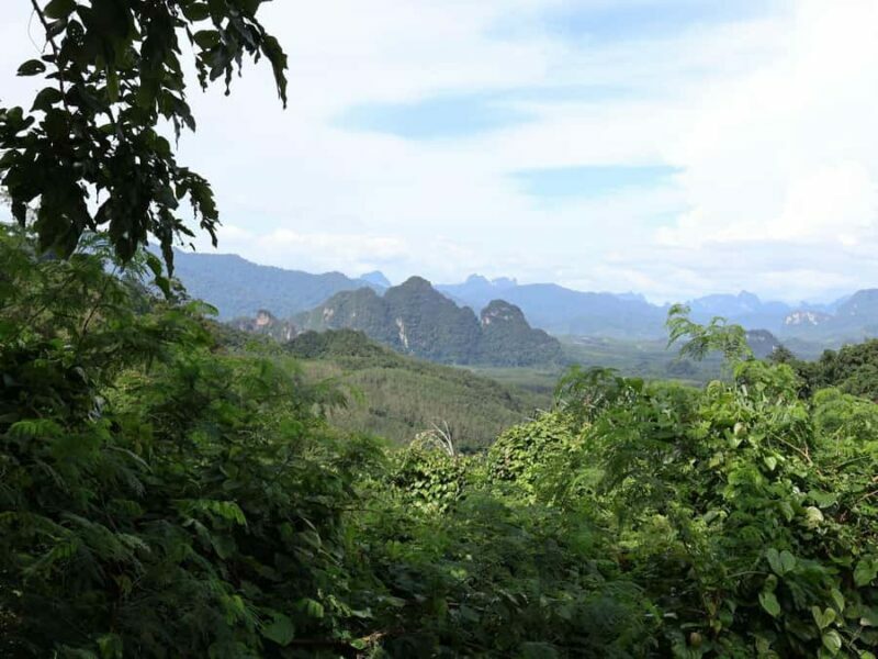 Khaosok Bamboo Raft & Night Safari (From Khaolak) - Why This Tour Works Well