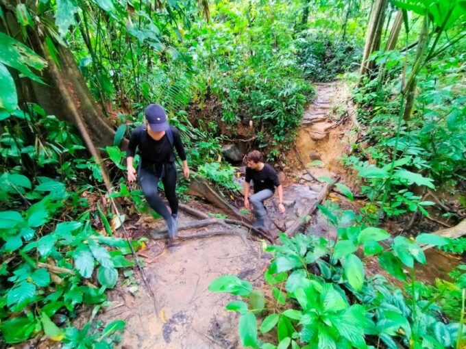 Khaosok Jungle Camping Tour & Khaosok Rain Forest Hiking - Pricing and Duration