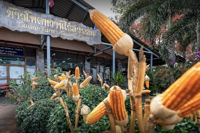 KhaoYai National Park 3D2N - Booking Information