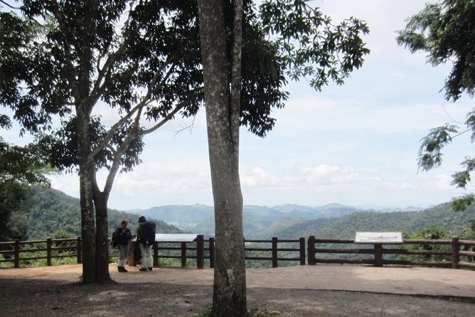 KhaoYai National Park 3D2N - Explore KhaoYais Diverse Ecosystem