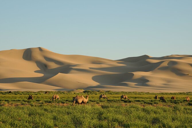 Kharkhorum, Khustai, Mini Gobi & Ger Under the Stars: 3-Day Tour - Khustai Nuruu National Park