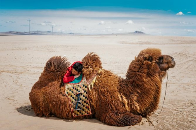 Kharkhorum, Khustai, Mini Gobi & Ger Under the Stars: 3-Day Tour - Elsen Tasarkhai (Mini Gobi)